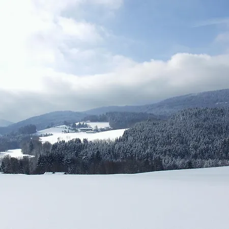 ホテル Gasthof-hotel Dilger Rattenberg