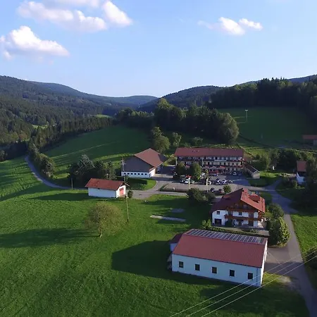 Gasthof-hotel Dilger ホテル *