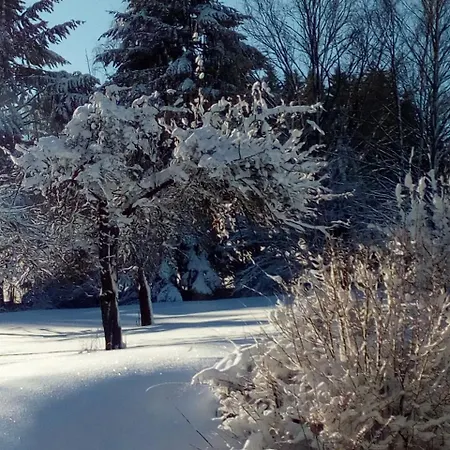 ホテル Gasthof-hotel Dilger Rattenberg