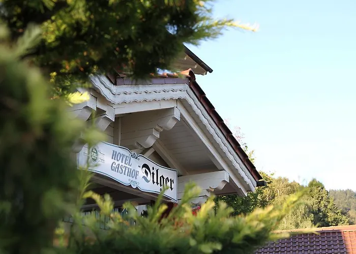 Gasthof-hotel Dilger Hotel *