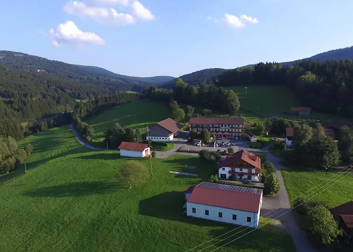 Gasthof-hotel Dilger فندق *