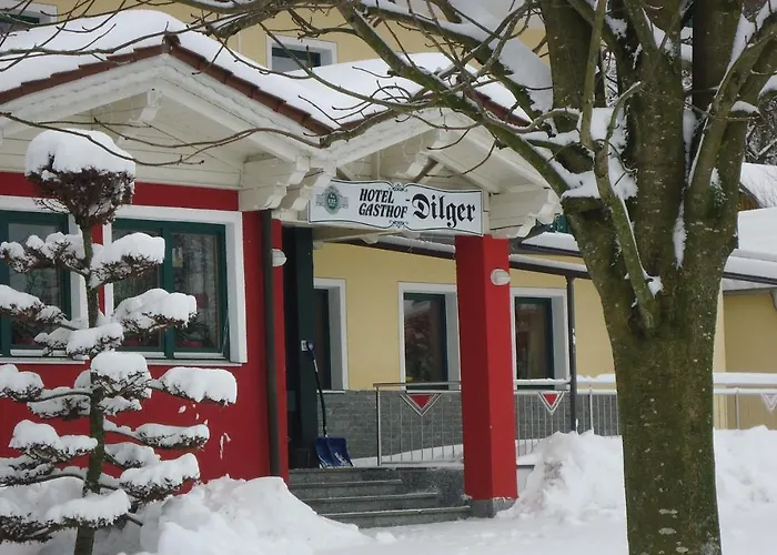 Gasthof-hotel Dilger Отель